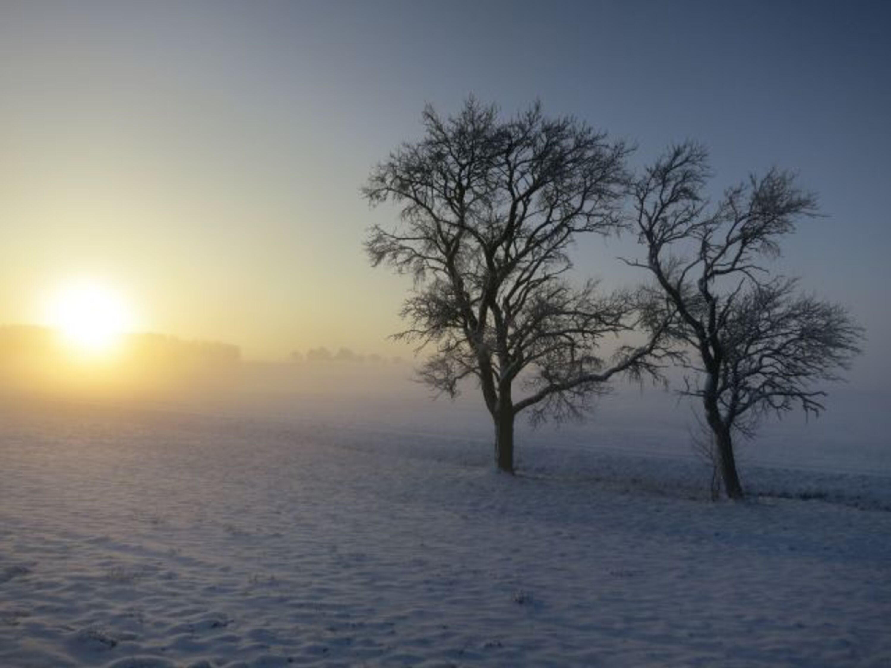 Wunderbare Winterlandschaften ab Hof
