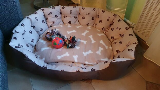 Hundekorb und -spielzeug