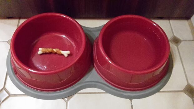 Futter- und Wassernapf