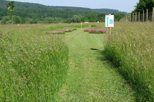 Fussballgolf-Anlage Beckingen 