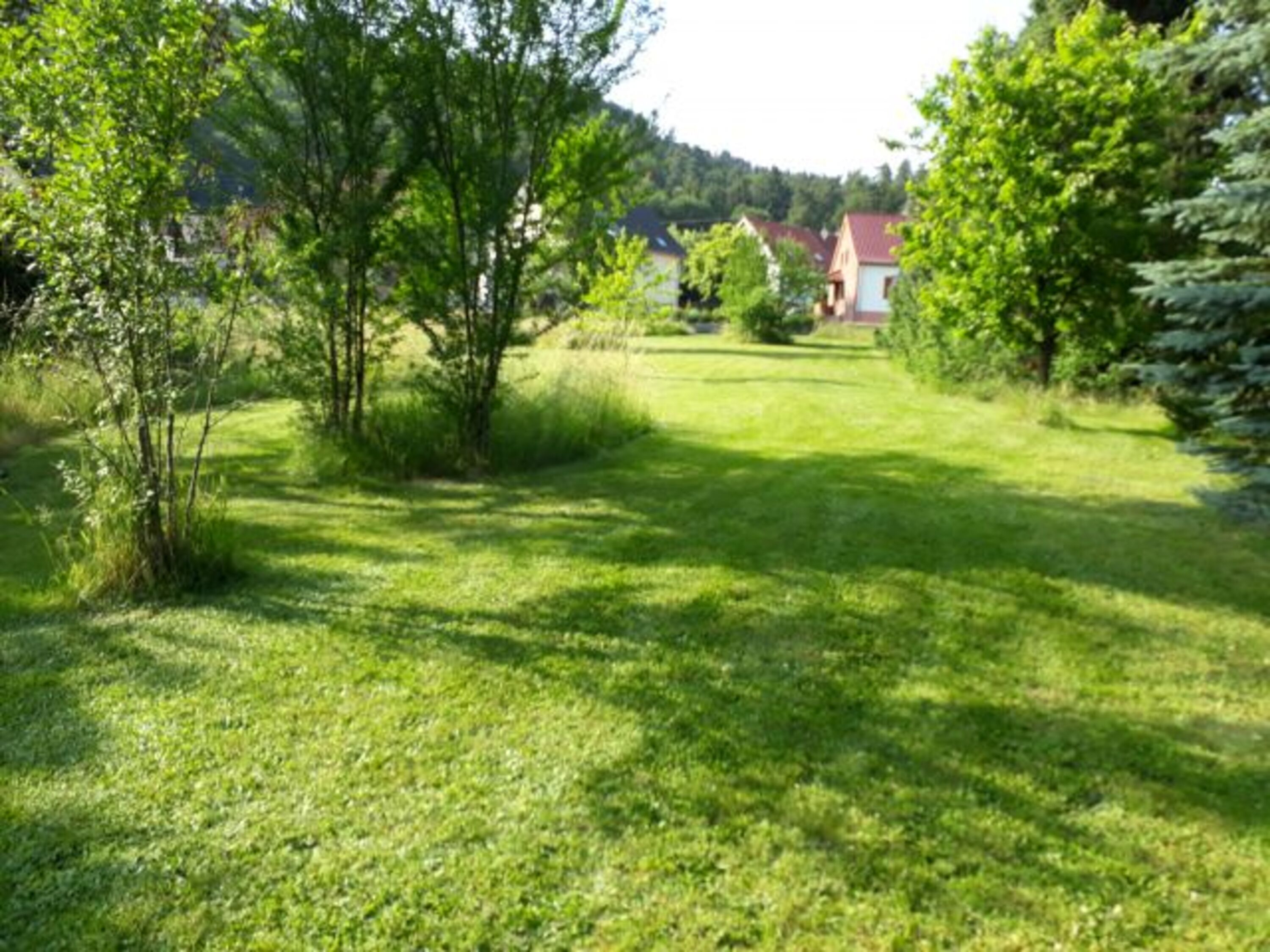 Gassi-Wiese 
