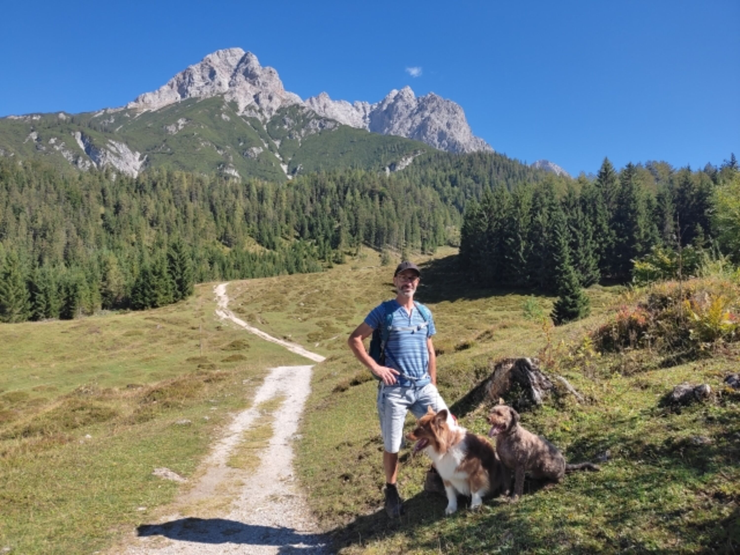 Wandern mit Hund