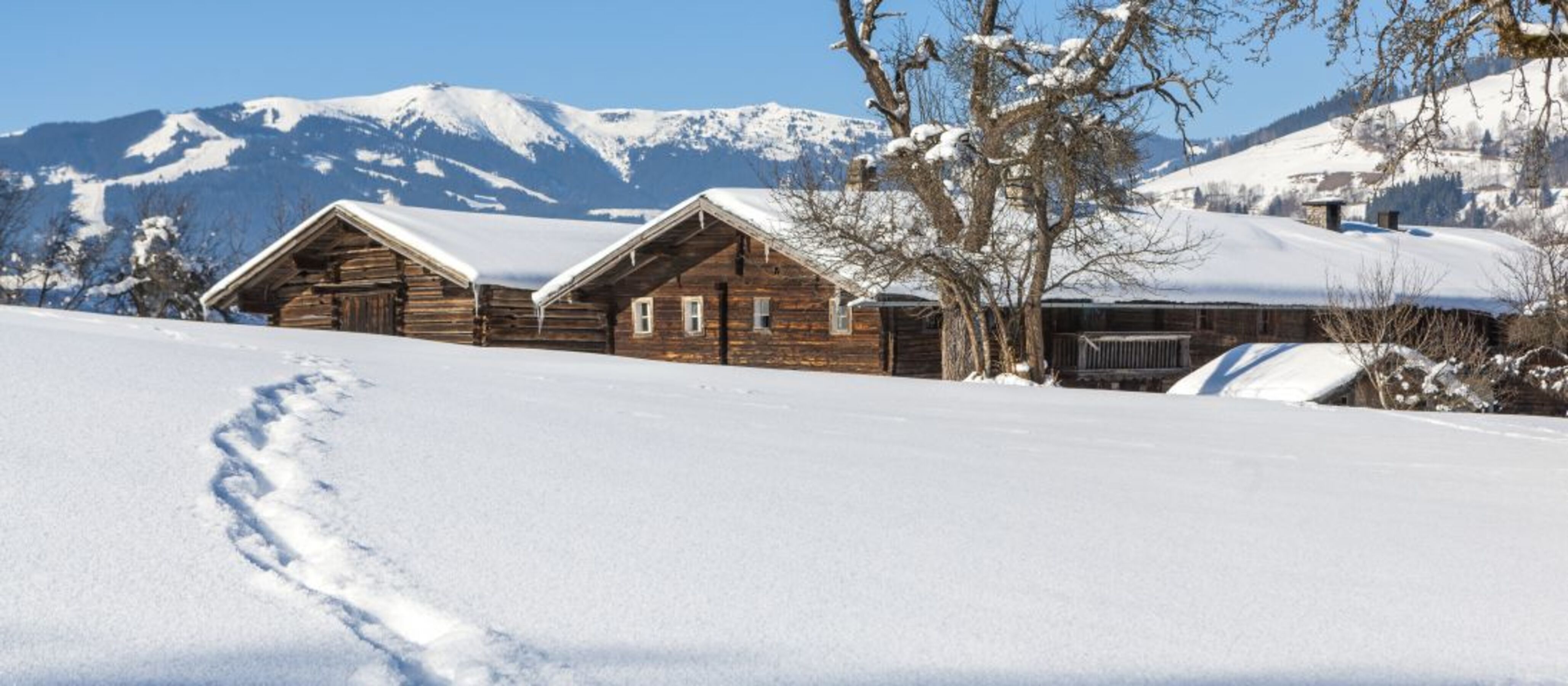 Im Schnee versunken