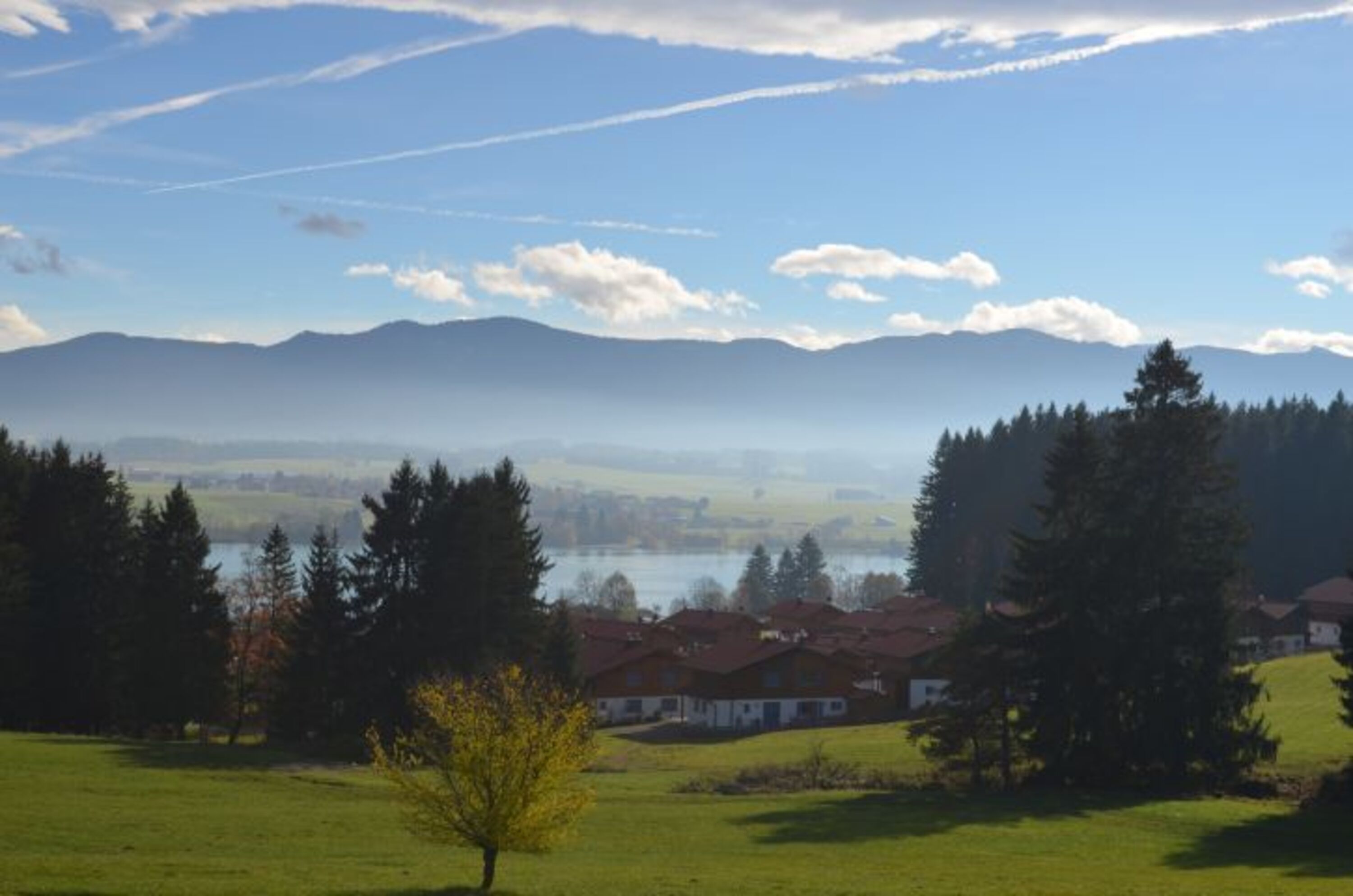 Bild 20