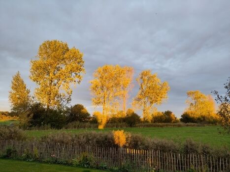 Ein unvergleichbarer Ausblick