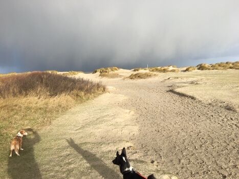 Schillig/Horumersiel