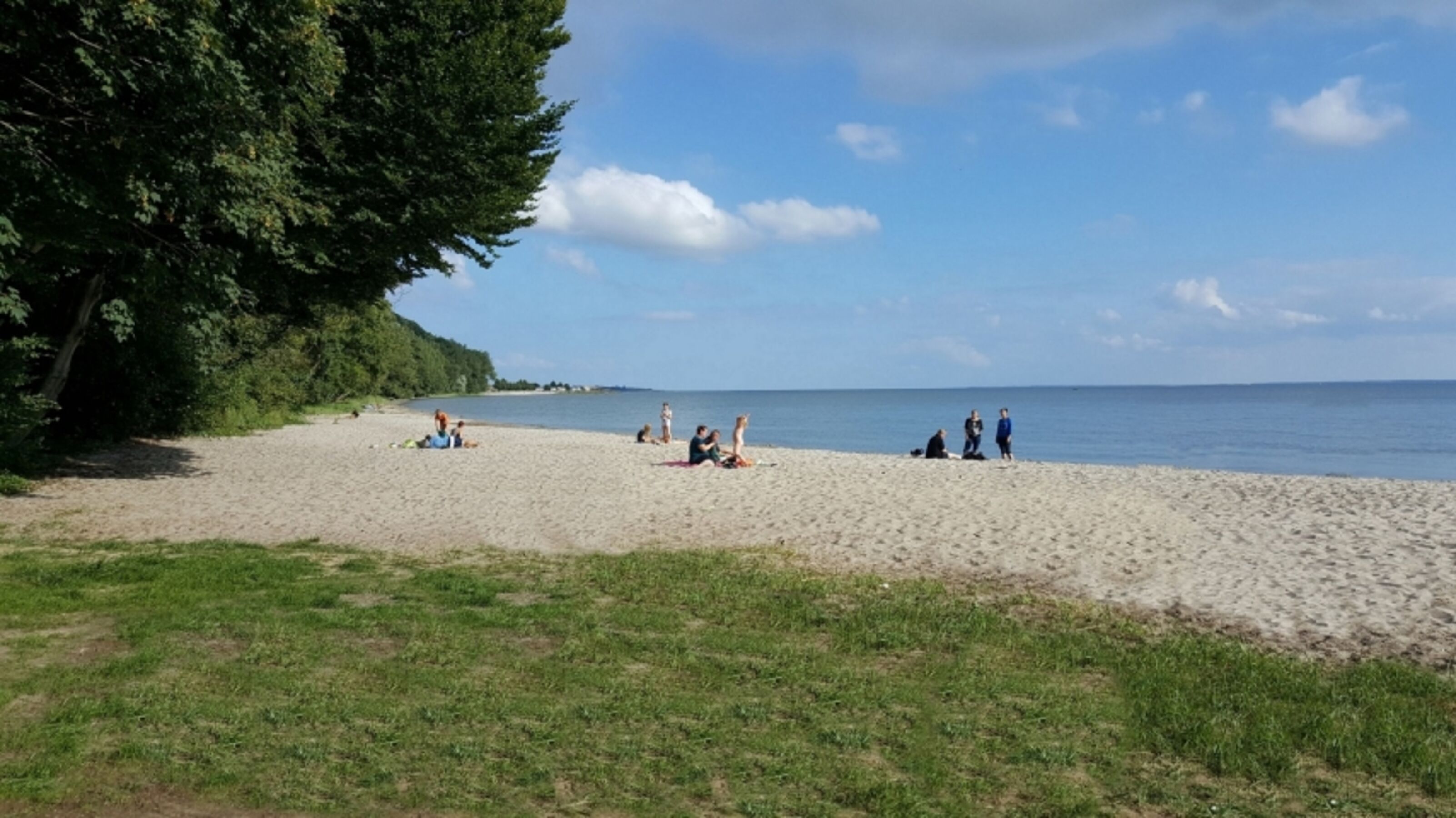 Haffstrand in Kamminke in 3 km Entfernung