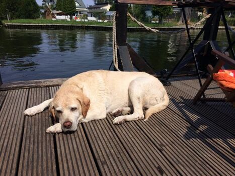 Wie wäre es mit Floßfahren auf Berlins Flüssen und Seen?