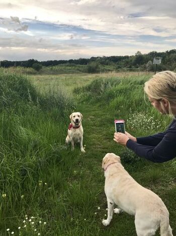 Fotoshooting im Naturschutzgebiet gleich nebenan