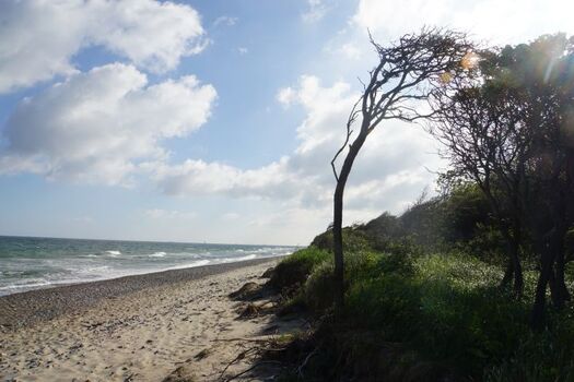 Hundestrand Börgerende