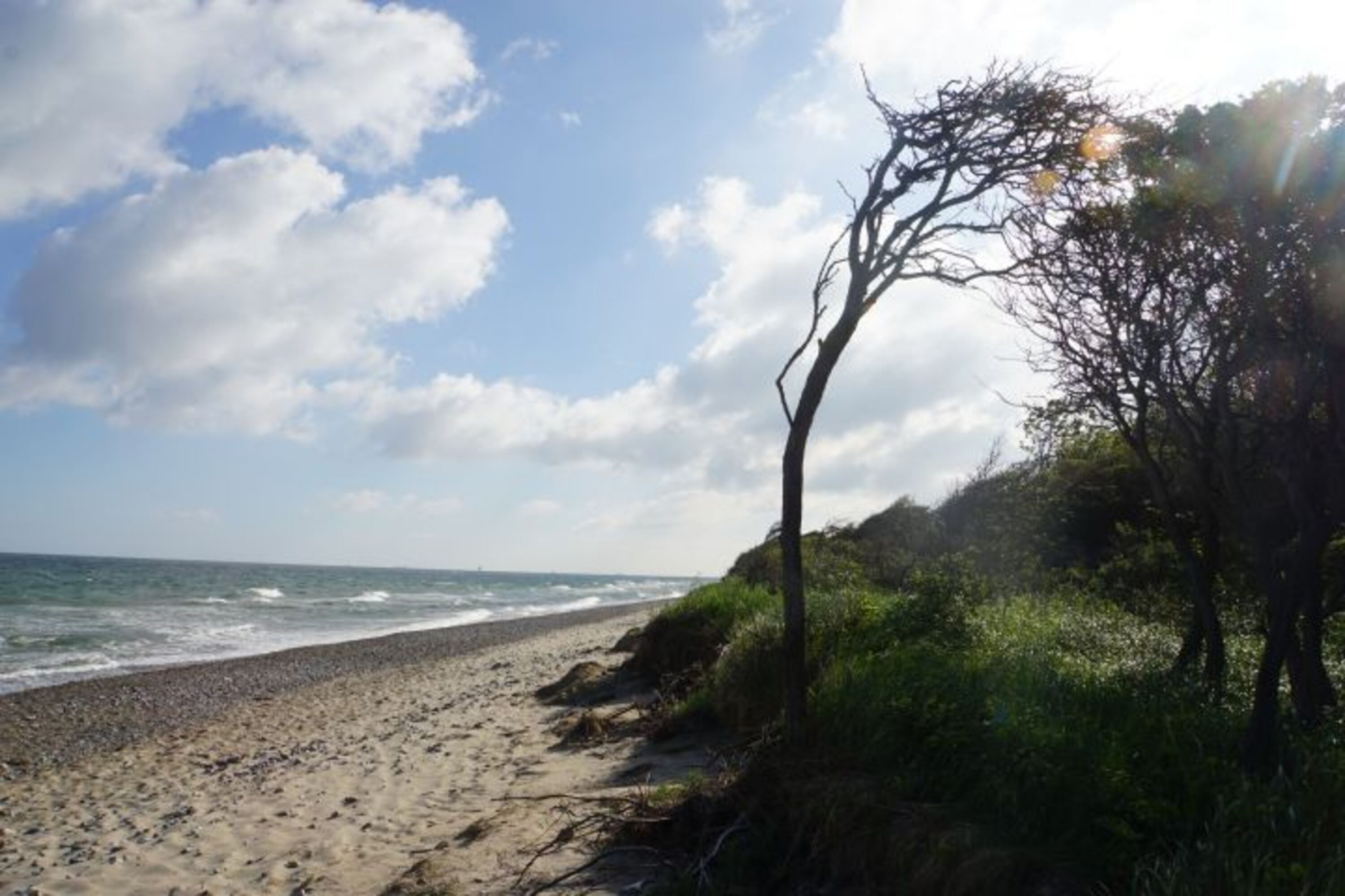 Hundestrand Börgerende