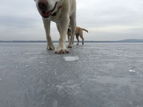 Rutschpartie auf dem Müggelsee