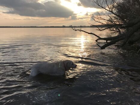 ein schöner Ausklang-baden im Müggelsee