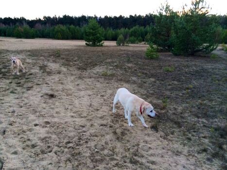 Kiesgruben gleich nebenan