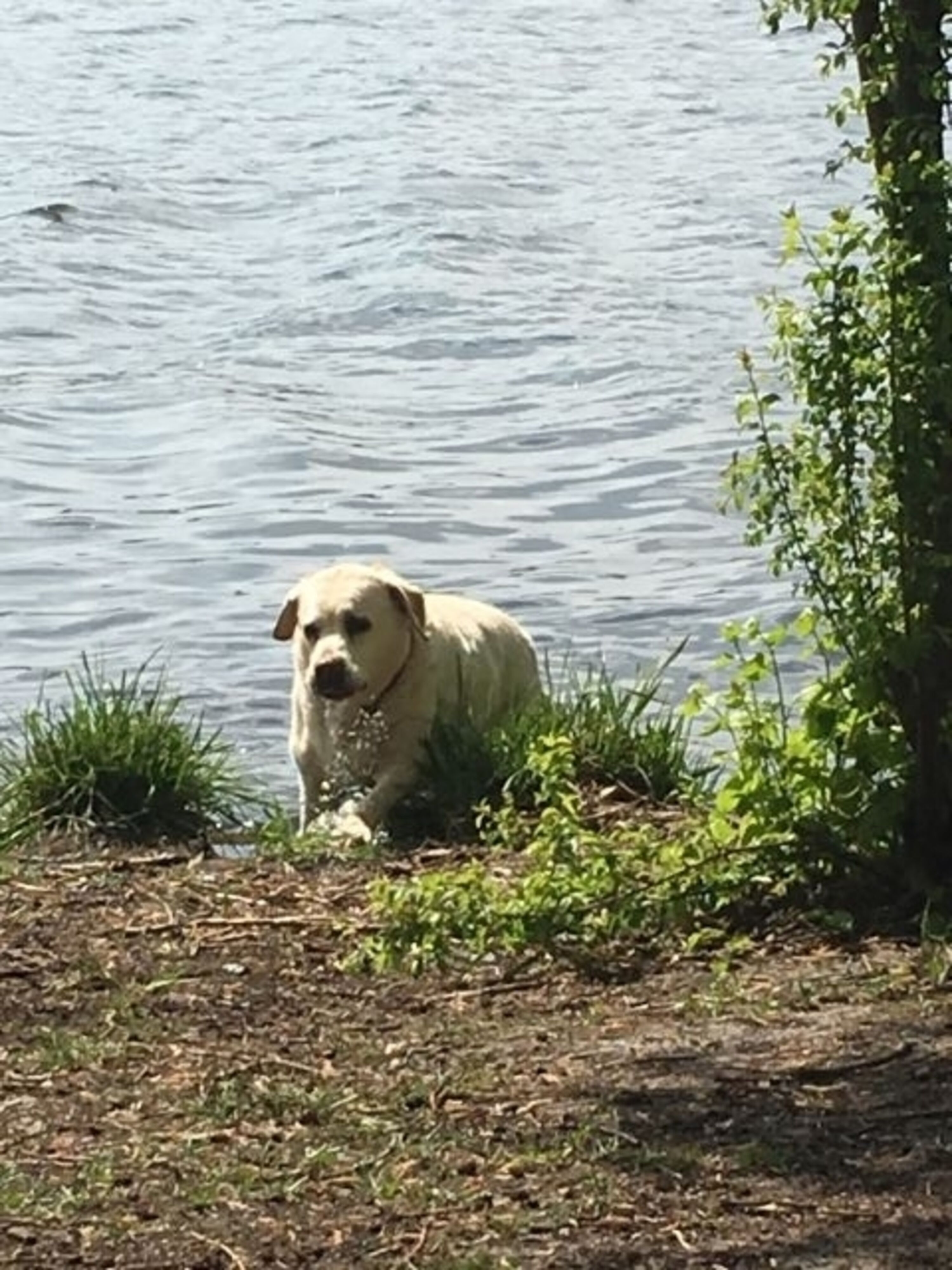 baden im Müggelsee