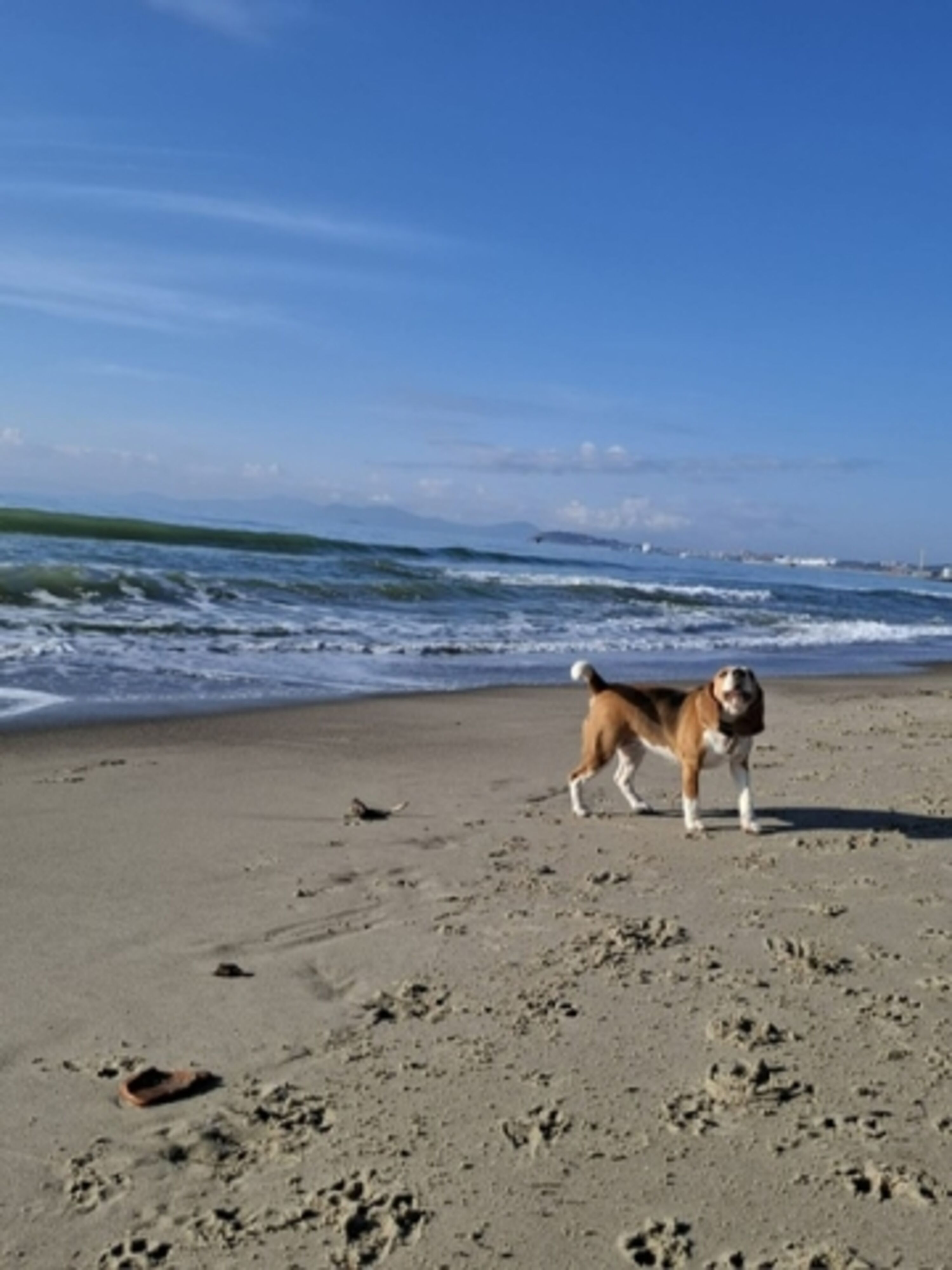 Bild 16