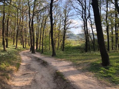 Wälder bei Blankenburg