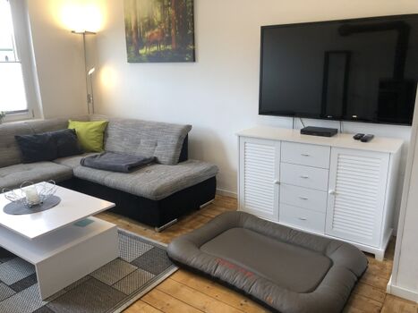 TV, DVD-Player, DVD´s und großes Hundebett