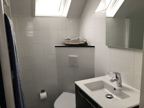 Tageslichtbad im OG mit Regendusche und Glas-Duschtür