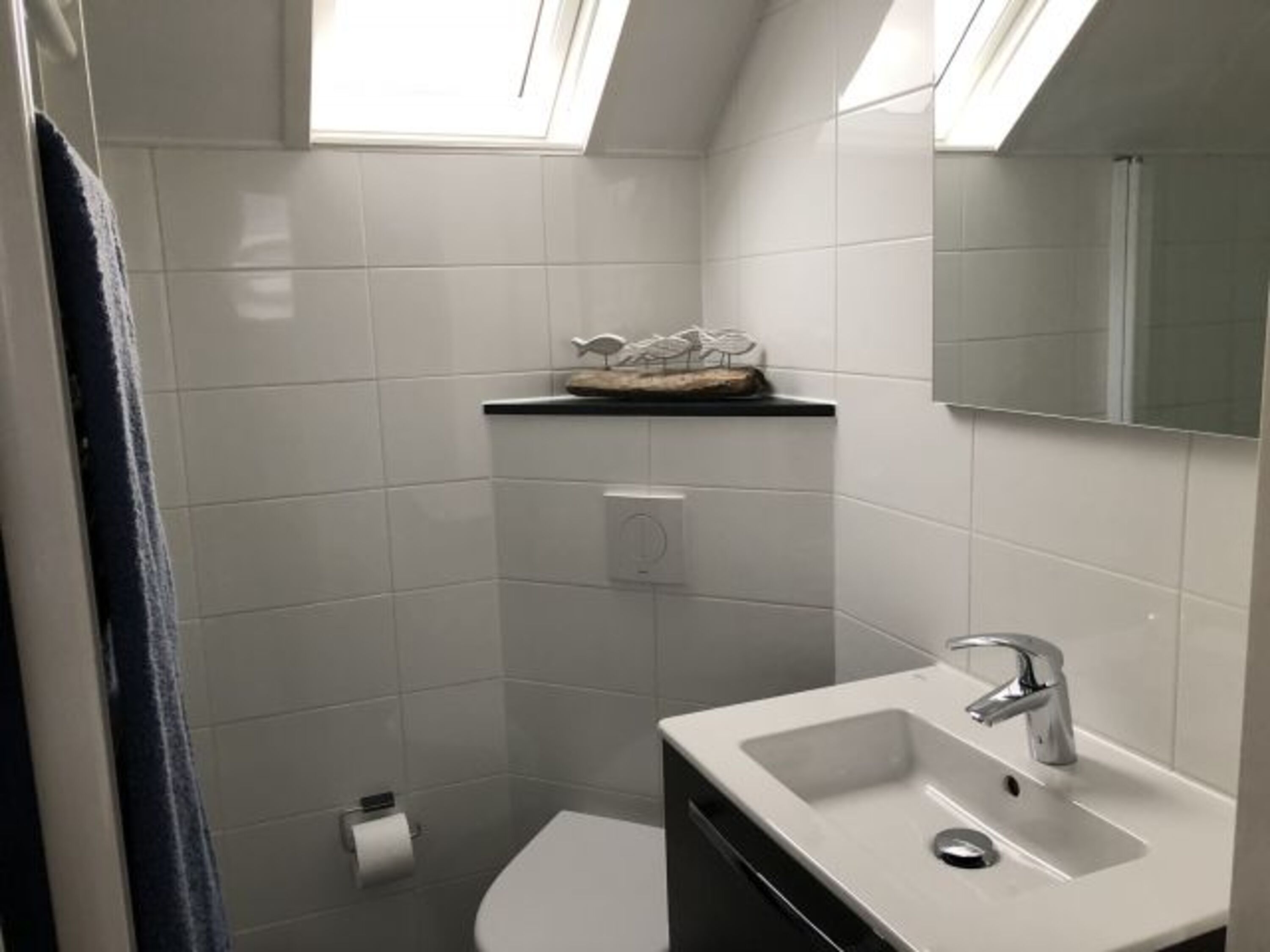 Tageslichtbad im OG mit Regendusche und Glas-Duschtür