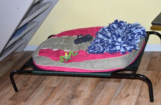 Für Hunde ist lles da, Liege, Kissen, Näpfe, ....