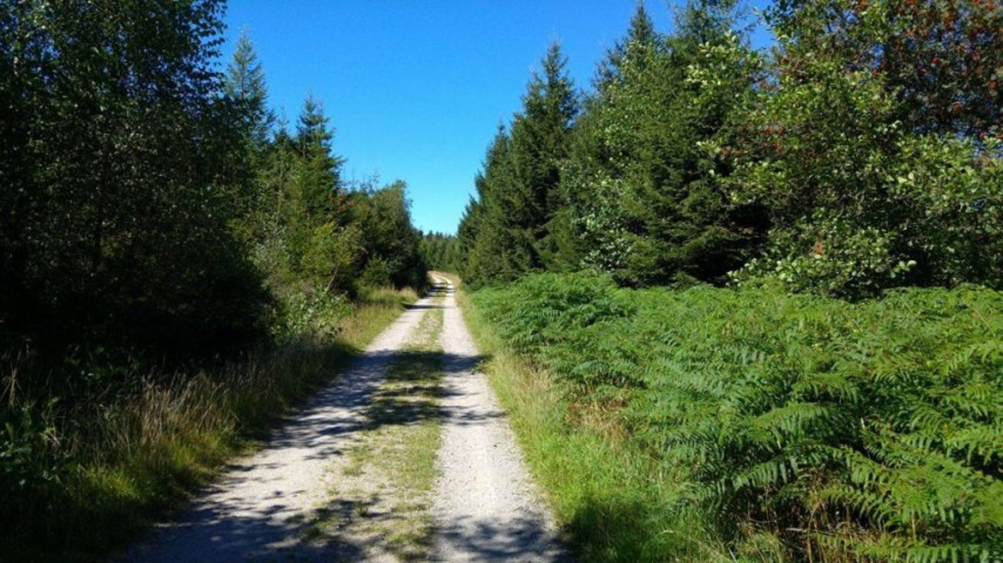 Bild 22
