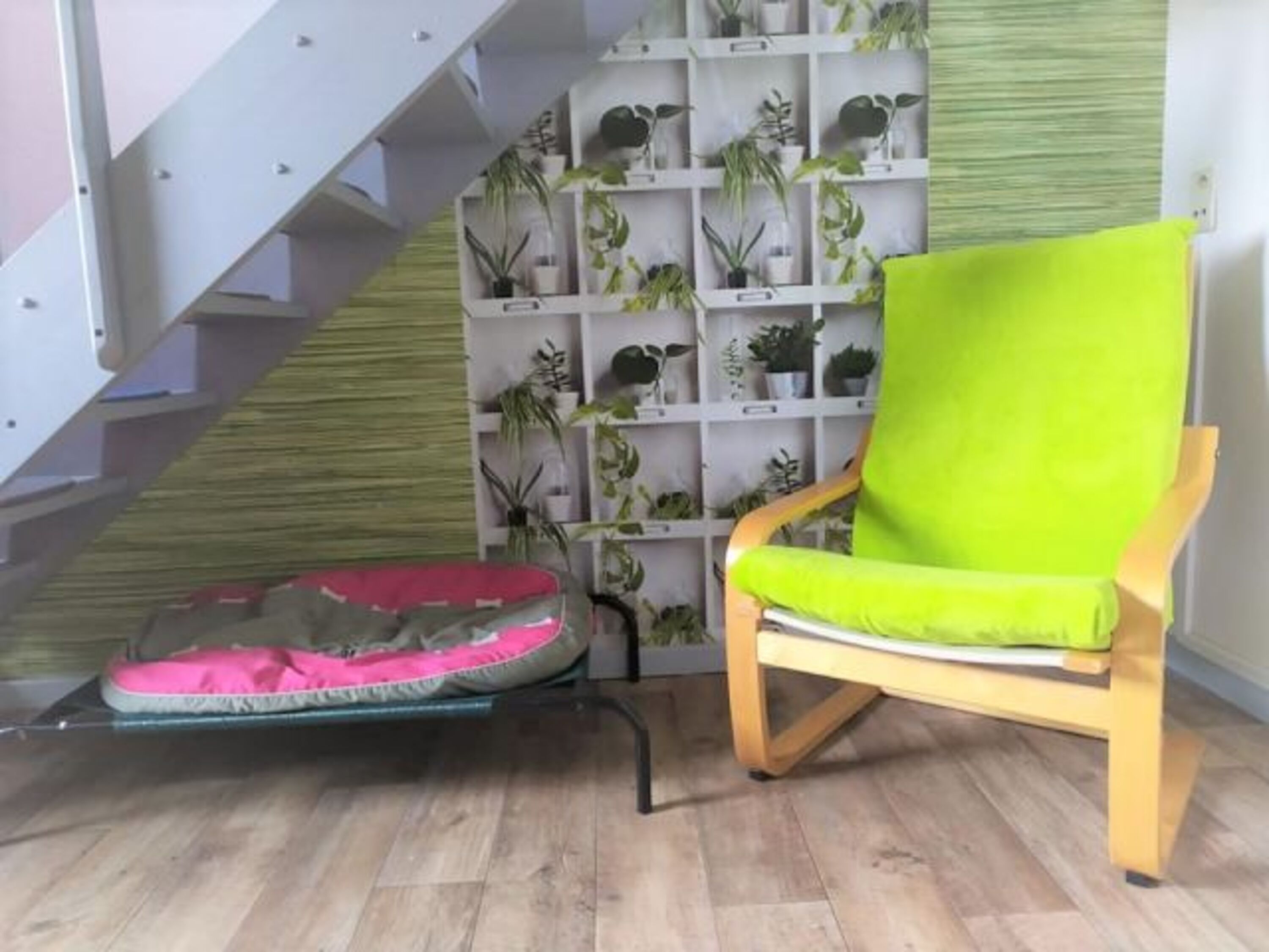 Bild 12