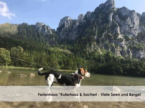 Viele Berge, Seen und Wandergebiete. 