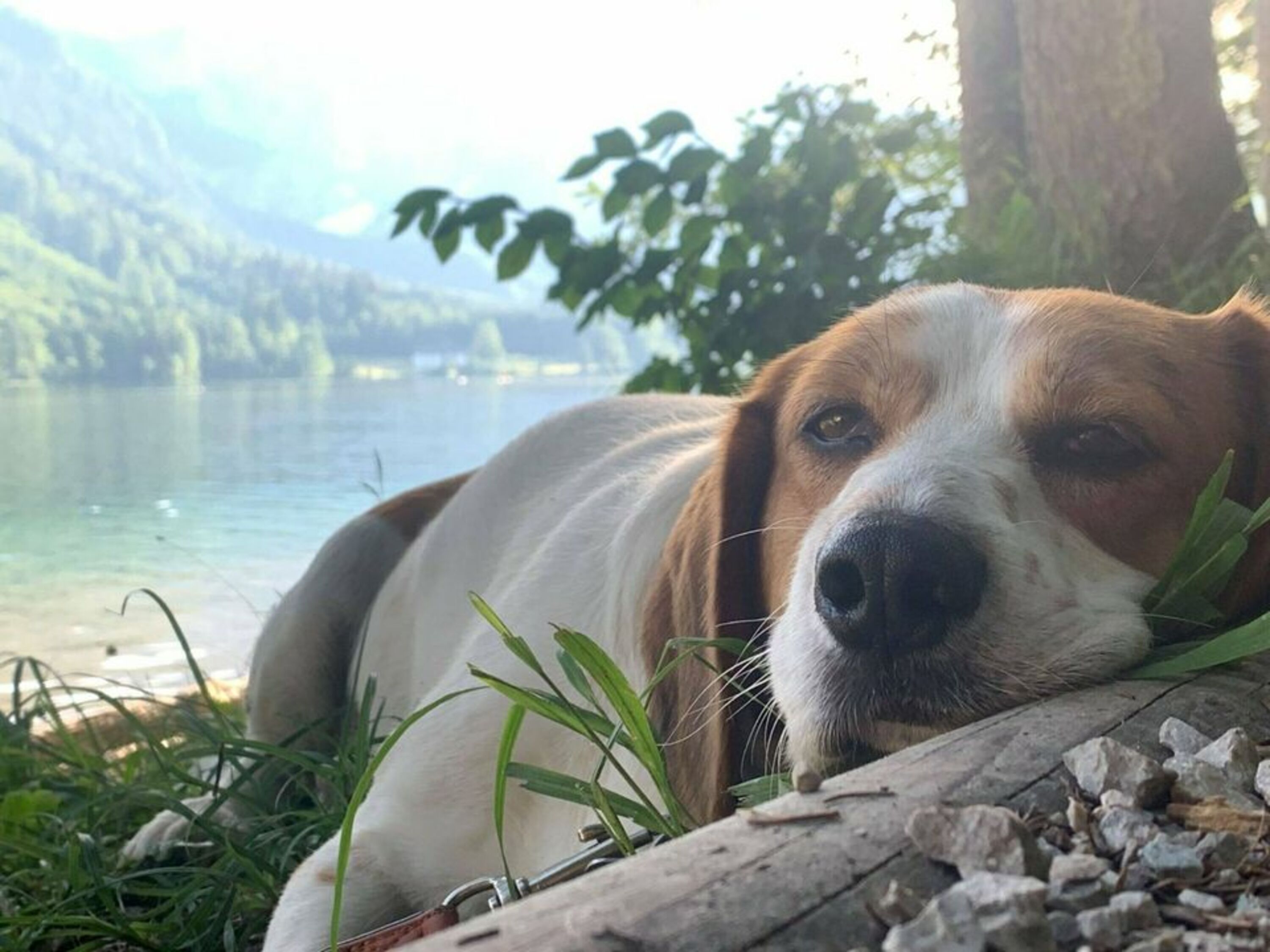 Entspannte Zeit an den Seen.