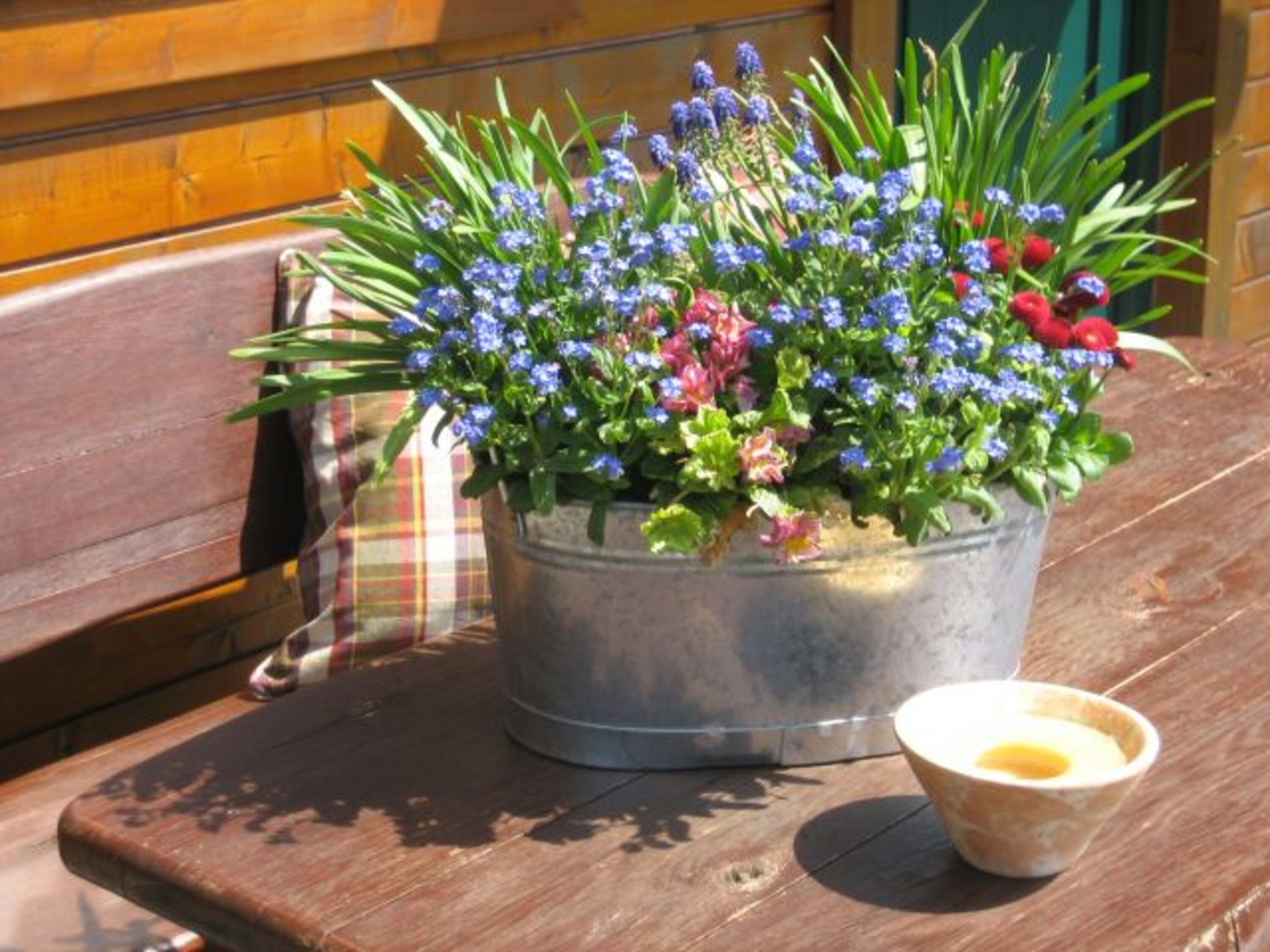 Bild 12
