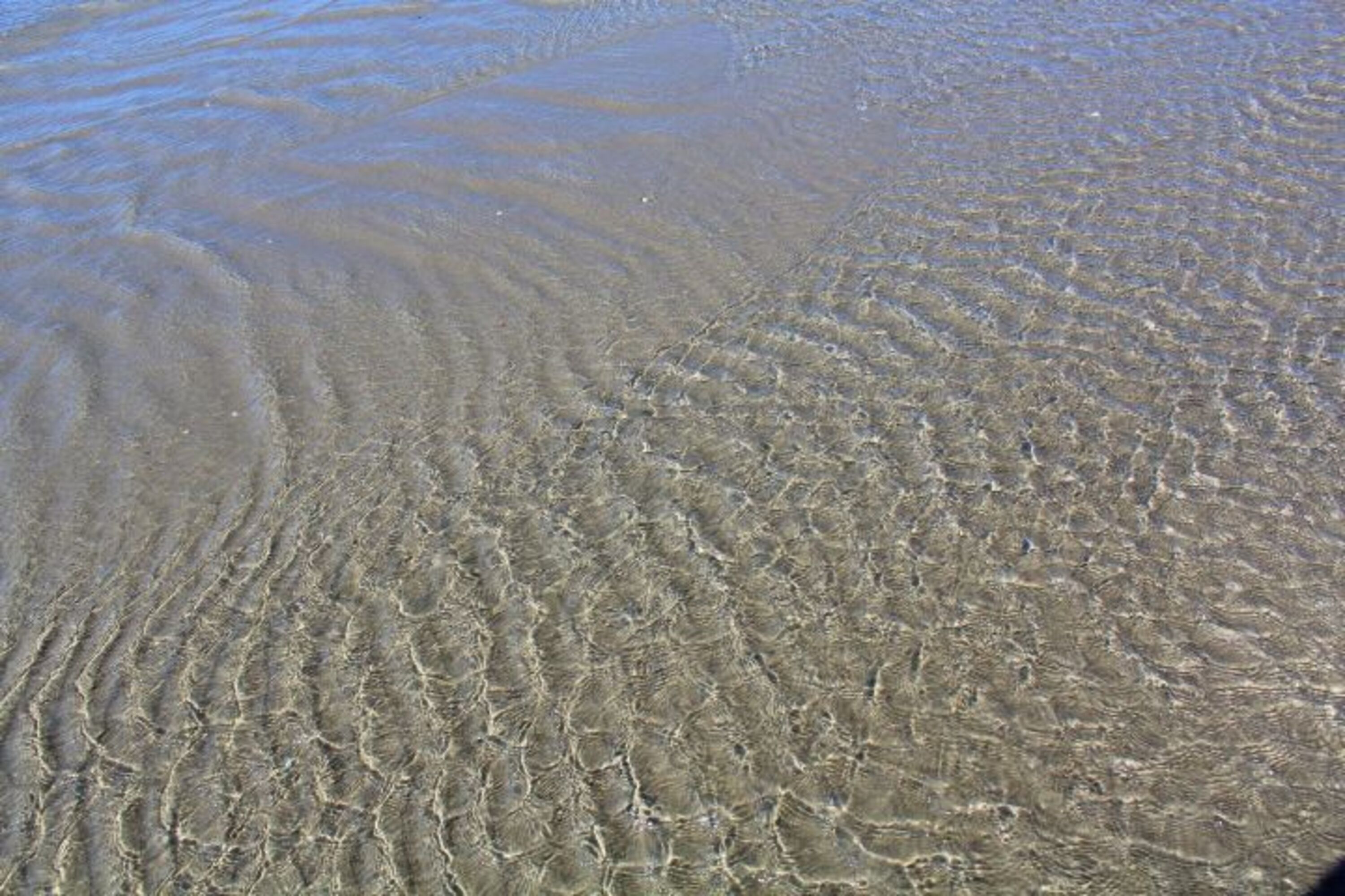 Wasser 