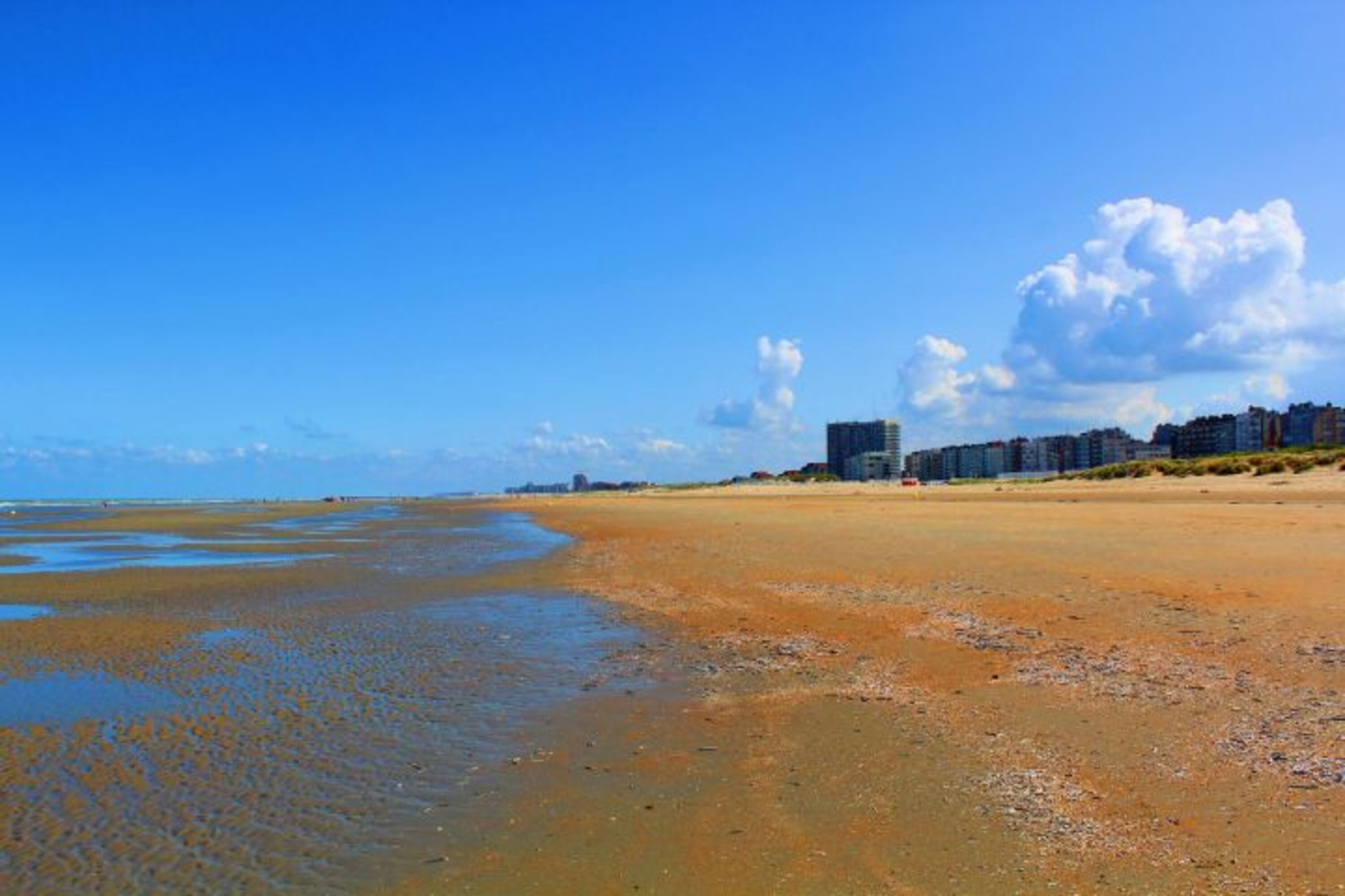 Strand 1