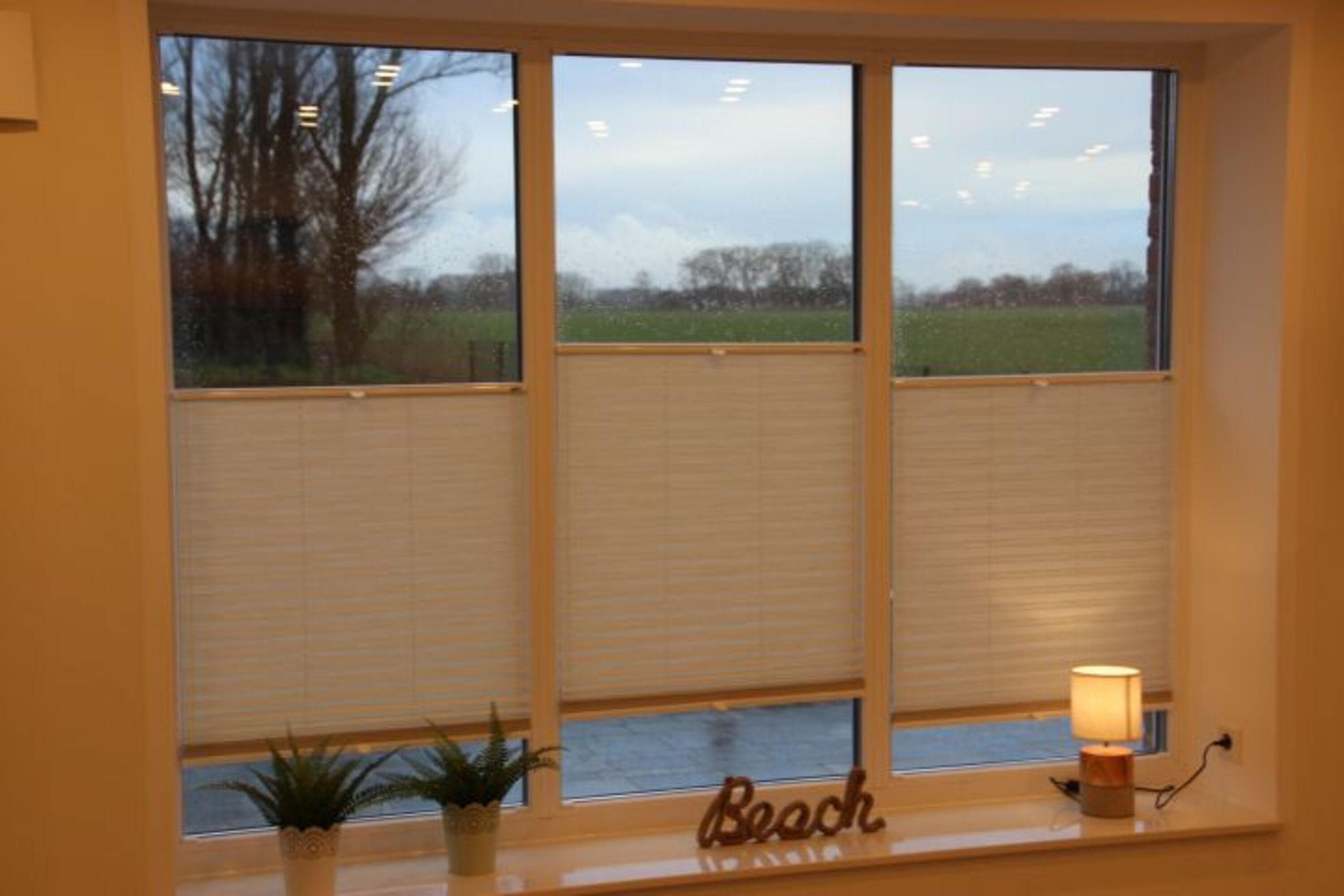 Blick den Garten