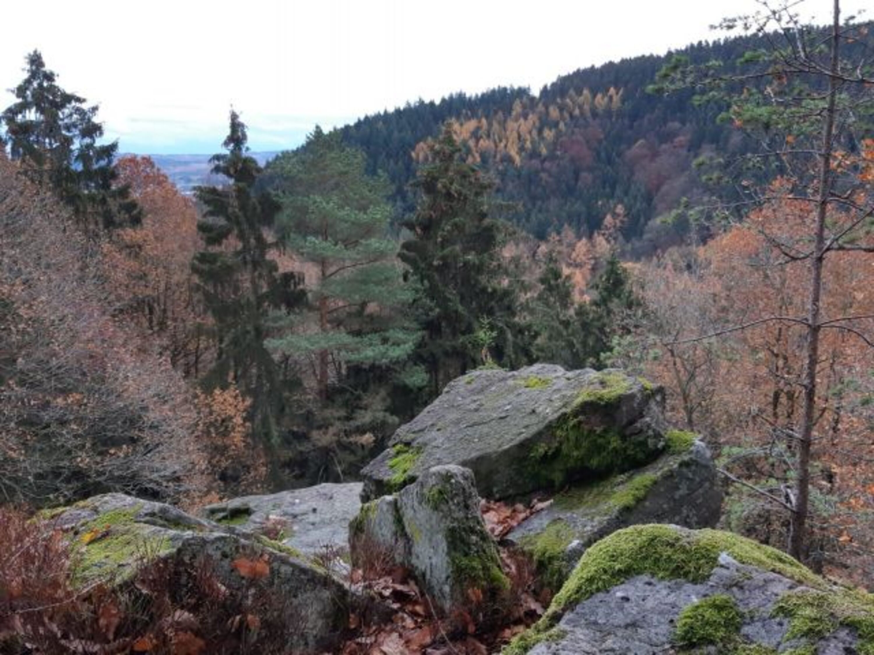 Bild 23
