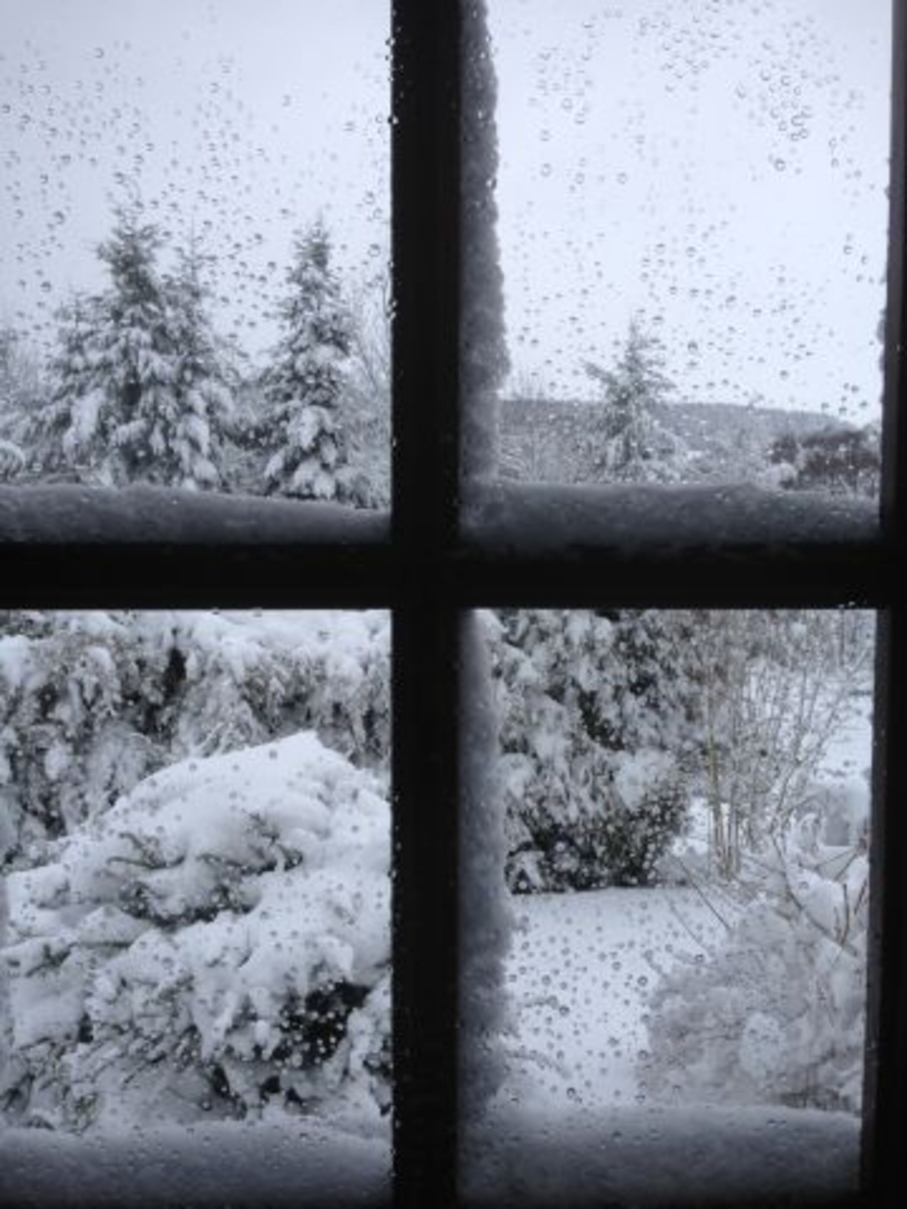 Winterlandschaft