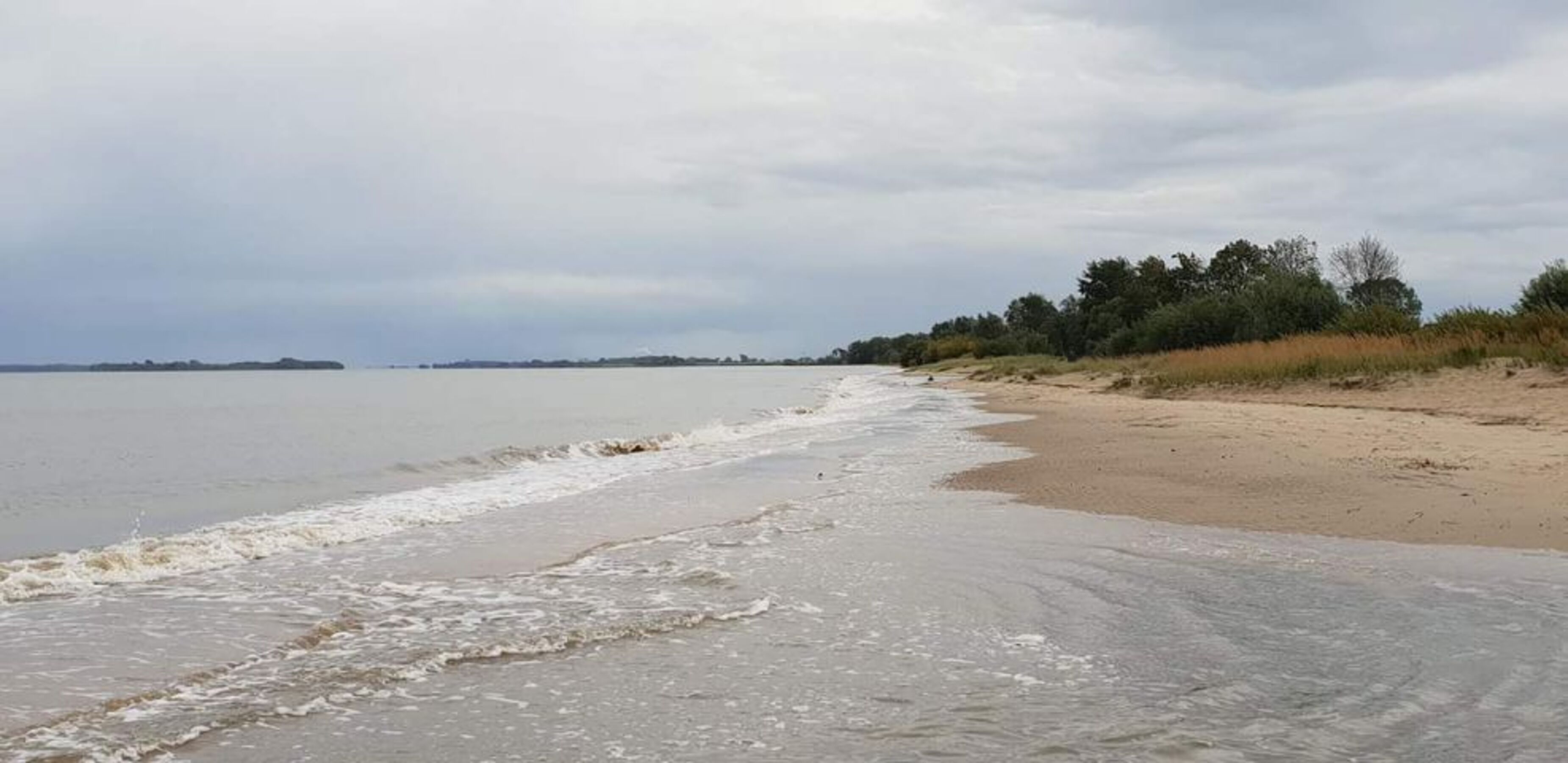 Krautsand