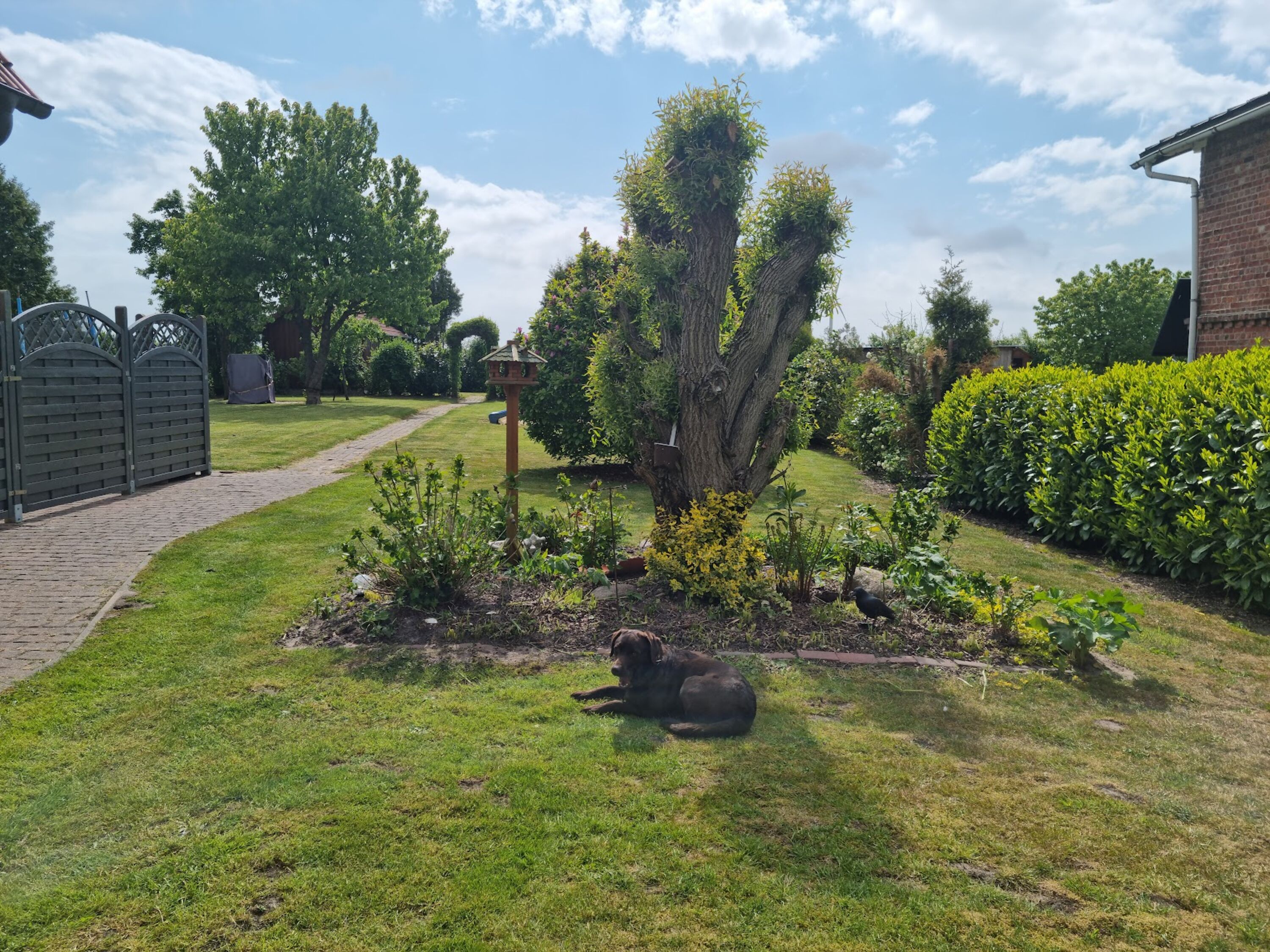 Viel Platz im Garten