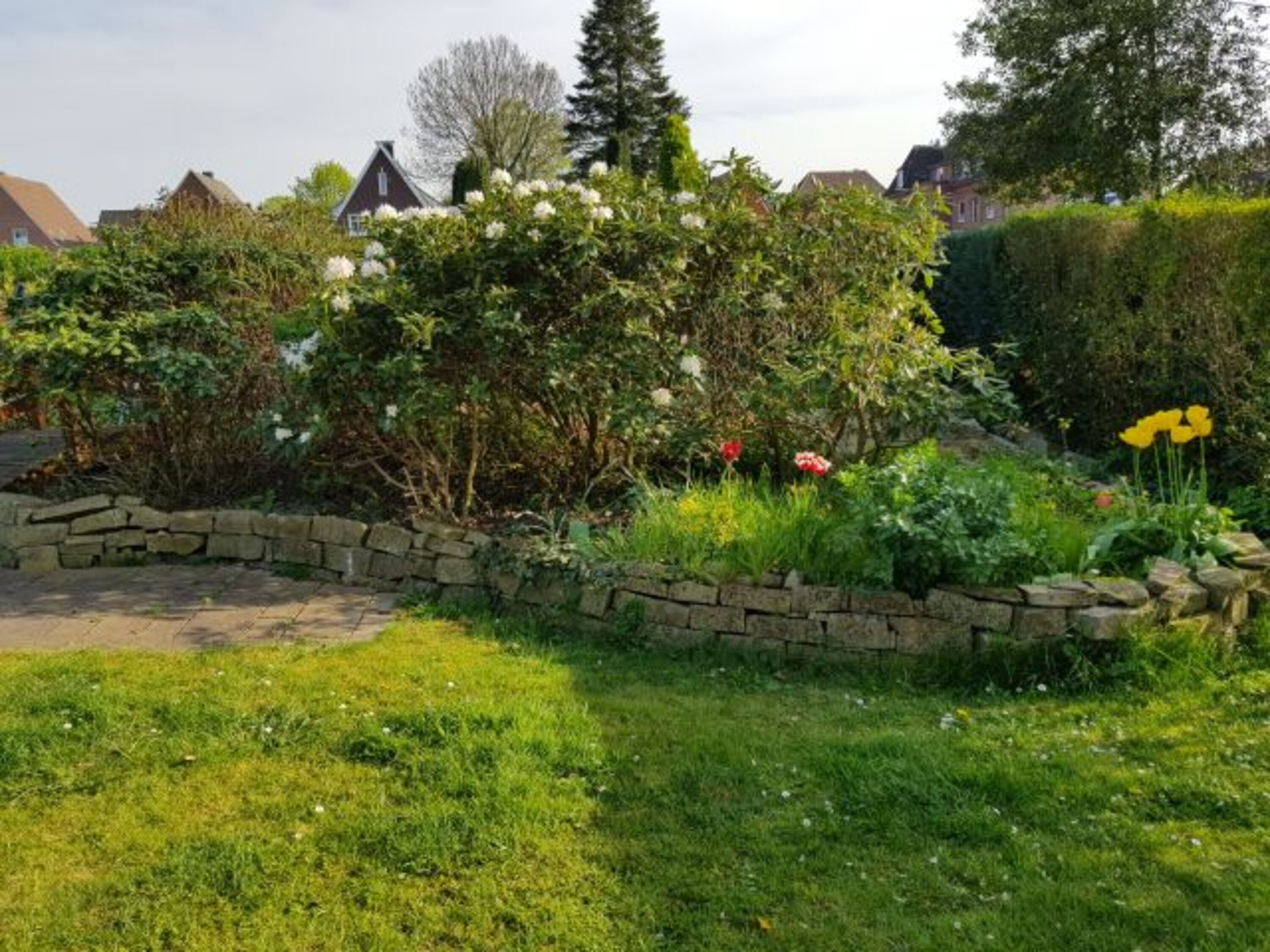 Bild 17