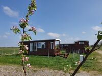 Höpkens Campingplatz - Des Hundes liebstes Urlaubsziel