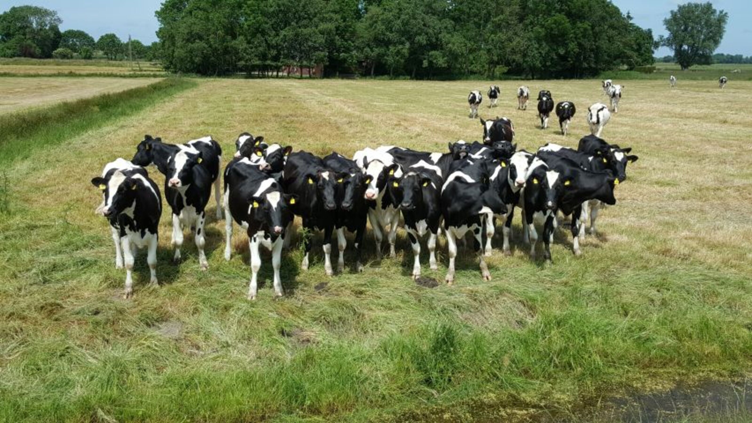unsere Nachbarn
