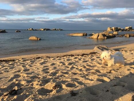 Unsere kleine Malya ist sehr glücklich am Strand (40m von das Haus - und hier kein Problem mit Hunde am Strand!)