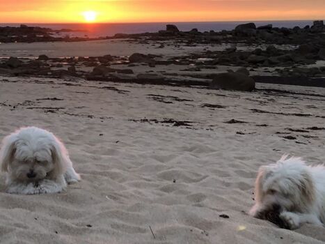 Mit unser 2 Cotton am Strand