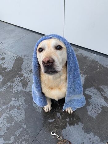 Emma mit Handtuch ;-)