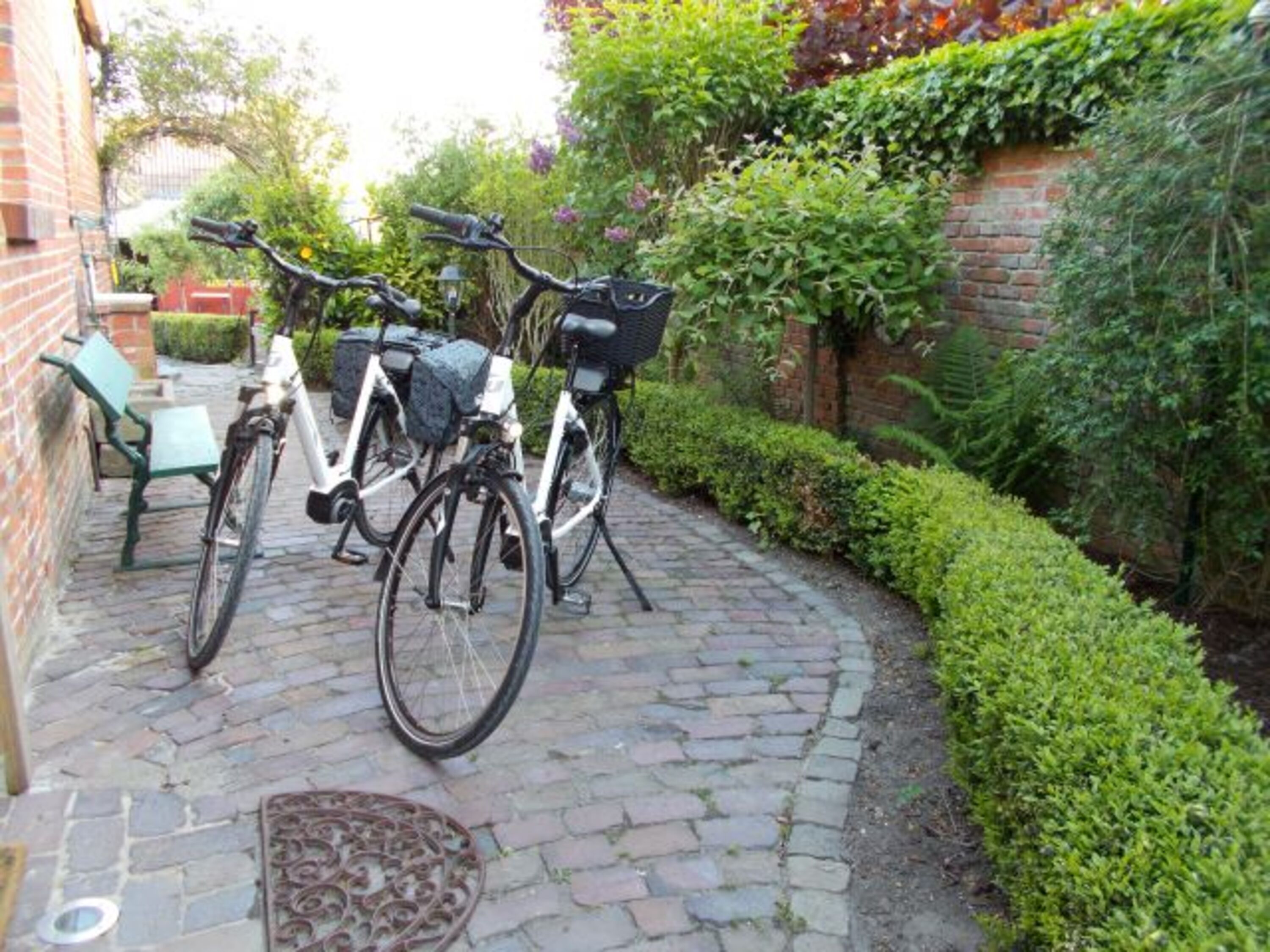 Bild 5