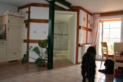 Wohnküche mit Blick ins Bad