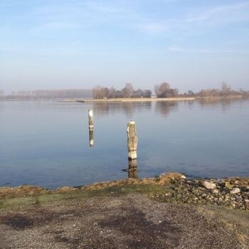 Veerse Meer im Winter