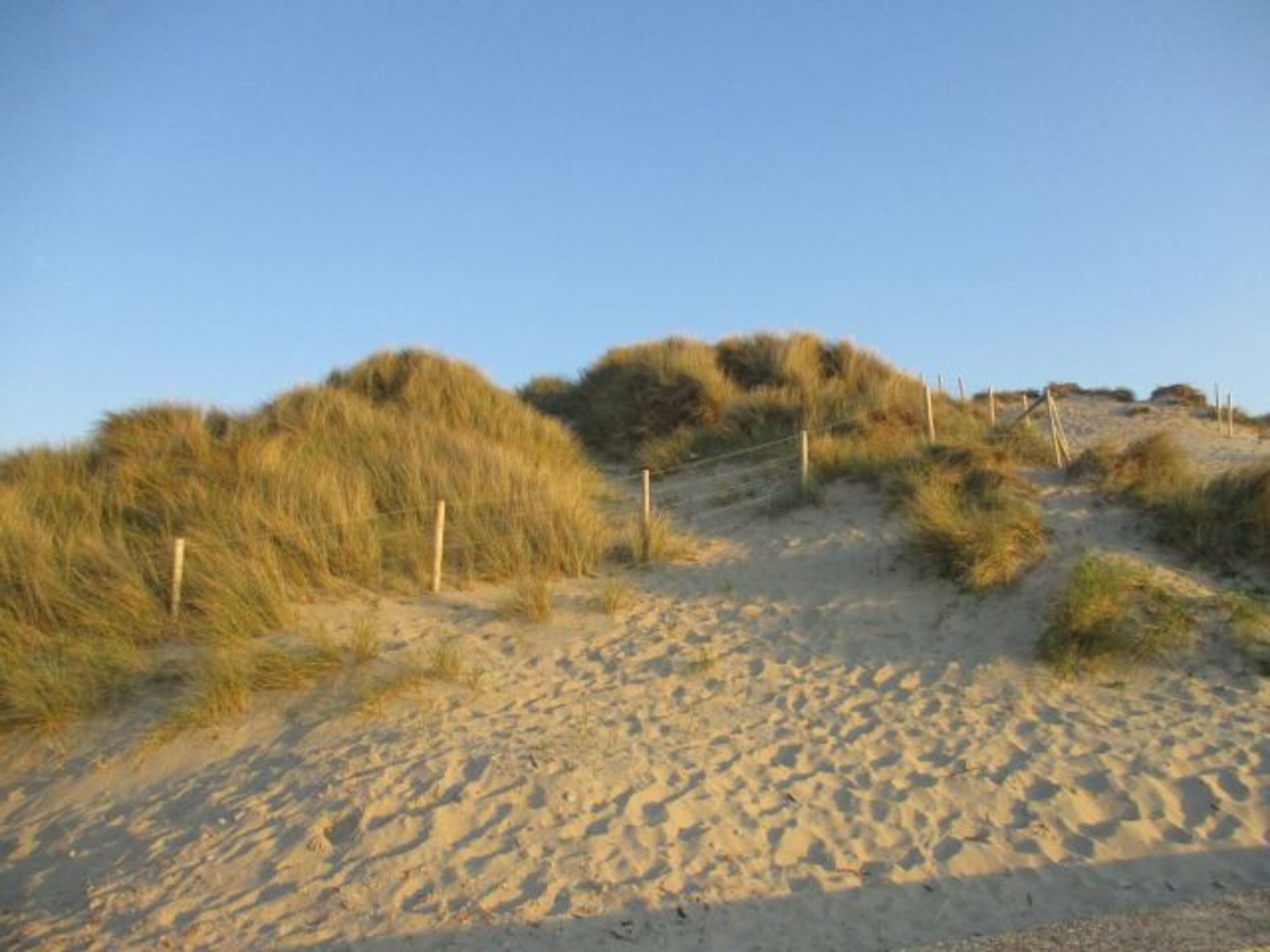 Bild 17