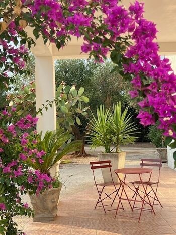 Terrasse im Eingangsbereich