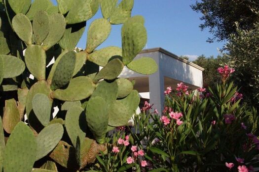 Das Haus in der Mitte des blühenden Gartens