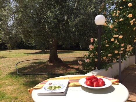 Lesen, Geniessen, Entspannen